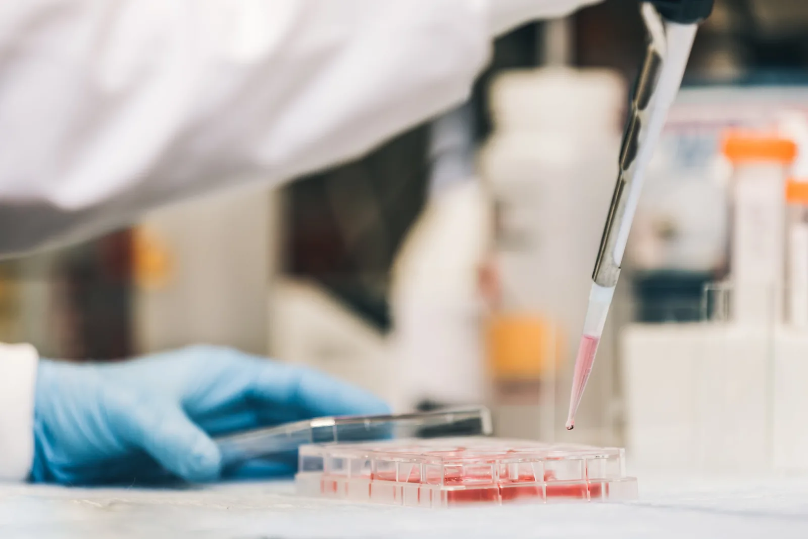 A researcher pipetting samples into a well plate in the lab