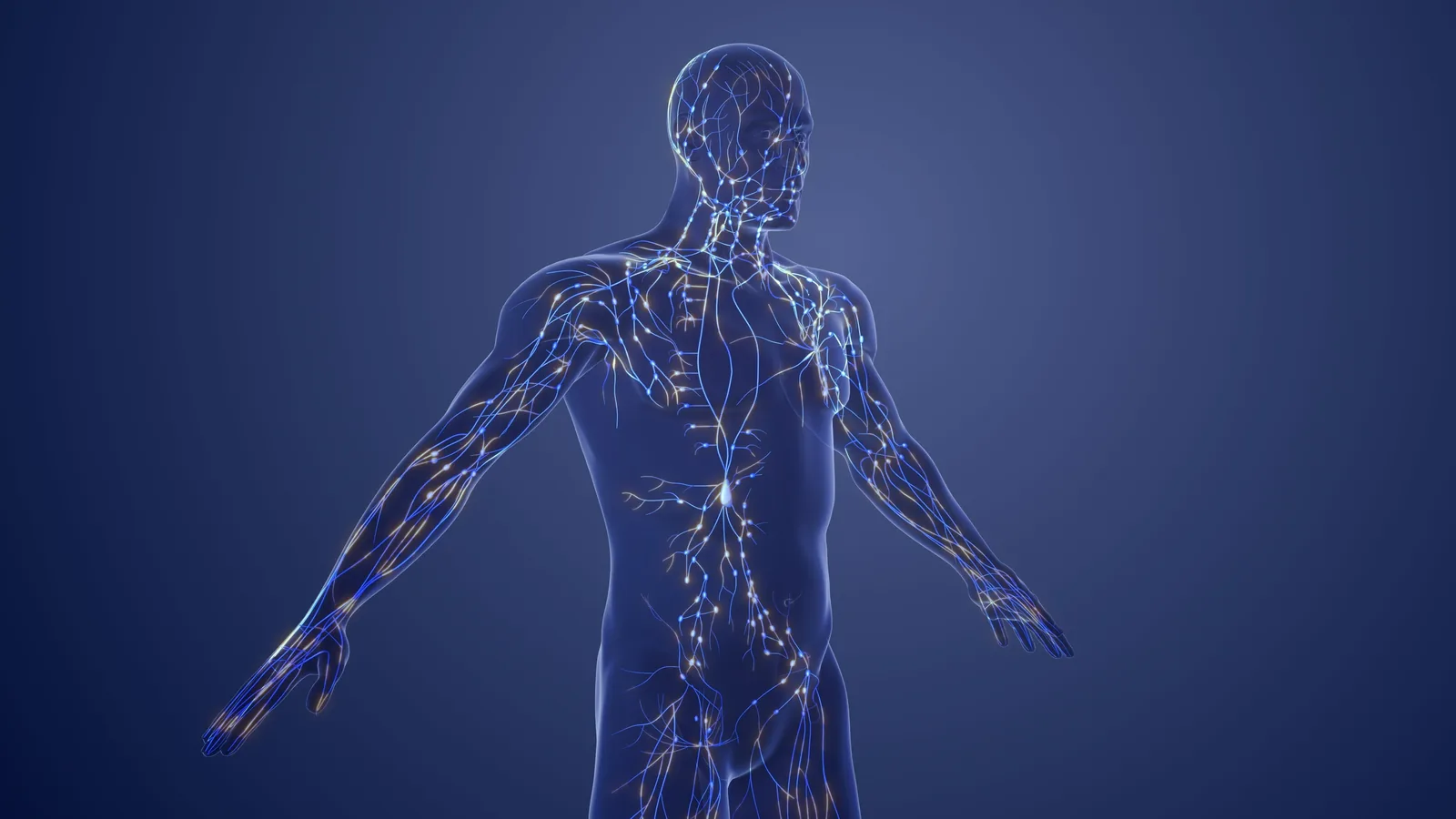 A human figure traced as a network of connected signals