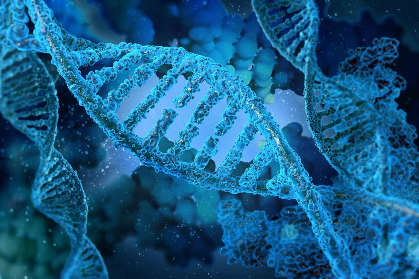 A DNA double helix with its nucleotide rungs mapped