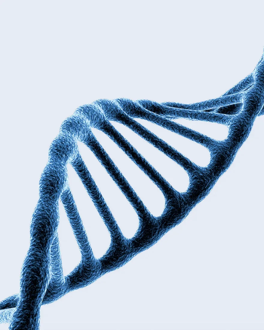 A blue DNA double helix on a pale ground